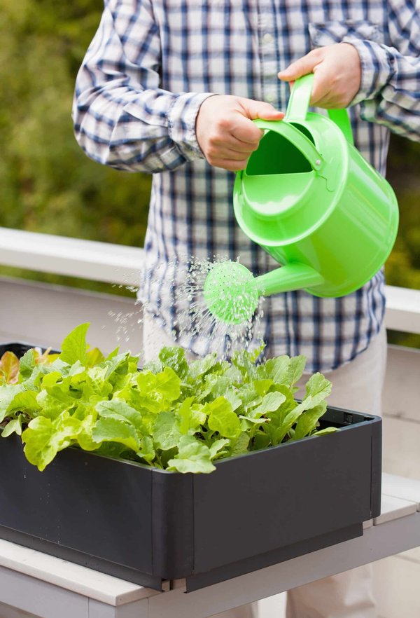 Bac potager : conseils d’utilisation de l’accessoire